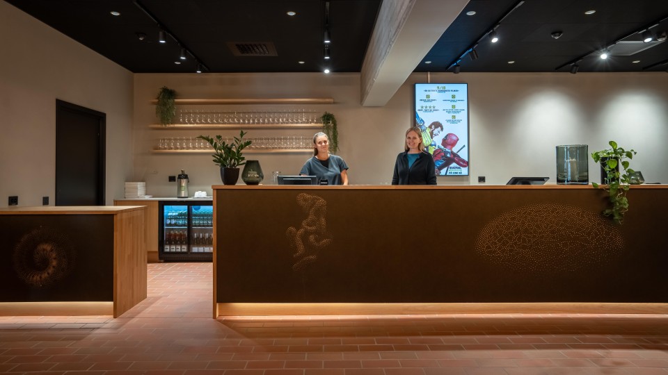 Lenke til artikkel: Bli kjent med kunsten på Edda kino