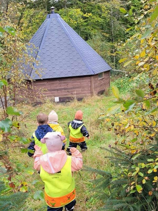 Lenke til artikkel: Utforsker skogen fra egen lavvo 