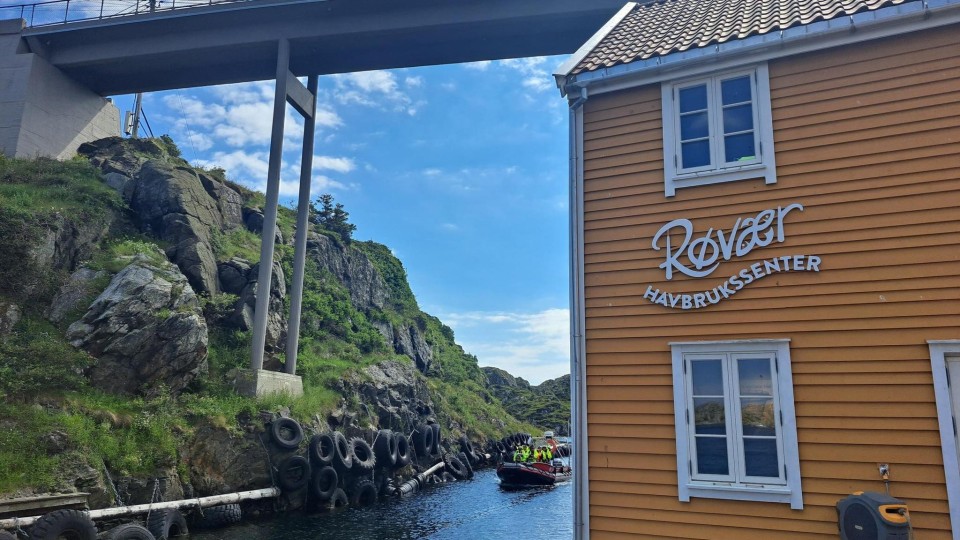 Lenke til artikkel: Komle og kunnskap på Røvær