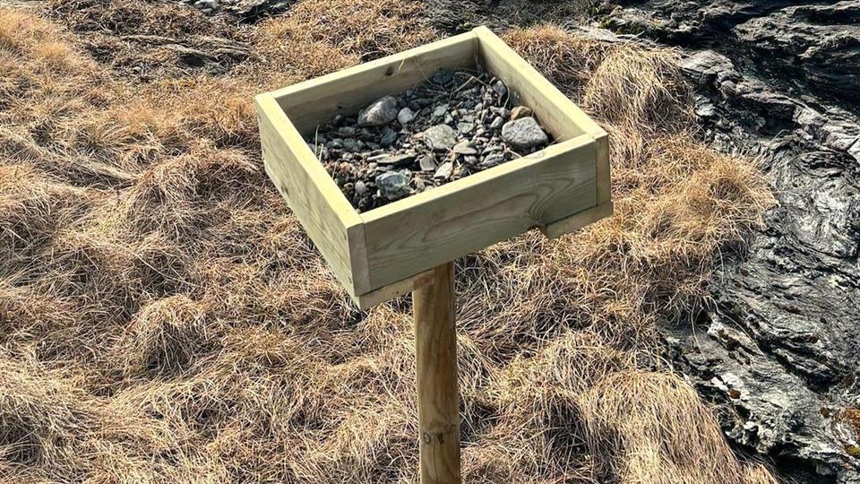 Lenke til artikkel: Hekkeplattform for fugl