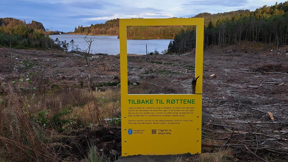 Lenke til artikkel: Tilbake til røttene - nyt utsikten! 
