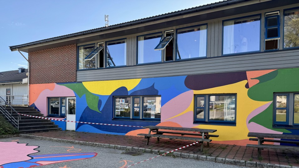 Lenke til artikkel: Pilotprosjekt på Bleikemyr bydelshus