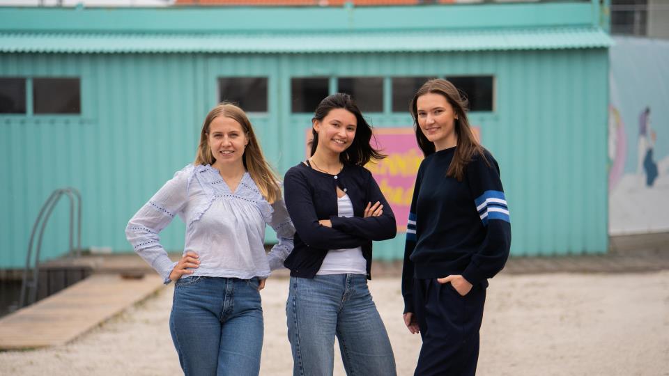 Lenke til artikkel: Sildikon-studentene løste oppgaven med glans: Nettsiden kan bli viktig for alle landets kommuner