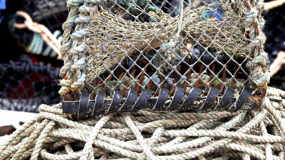 Lenke til artikkel: Vi må hindre spredning av havnespy