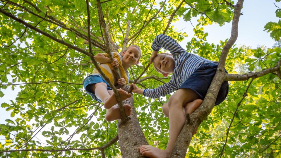 Lenke til artikkel: Tid for å sanke sommerminner